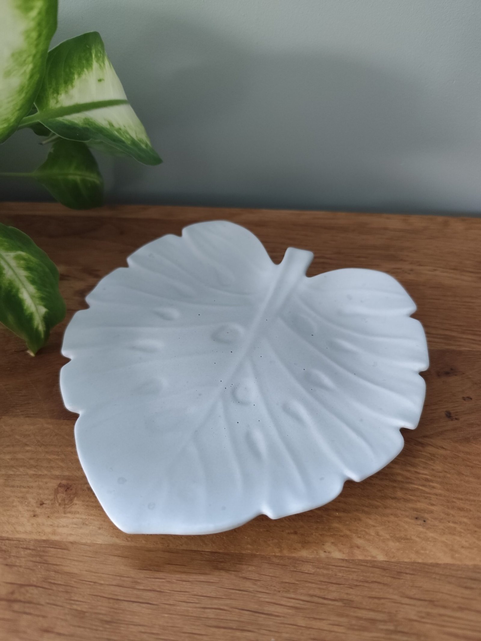 plateau monstera jesmonite